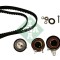 INA 530 0483 10 Set curea de distributie