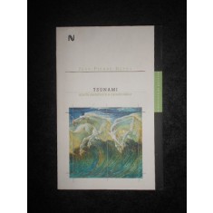 JEAN PIERRE DUPUY - TSUNAMI, SCURTA METAFIZICA A CATASTROFELOR