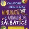 Calatorie in lumea minunata a animalelor salbatice PlayLearn Toys