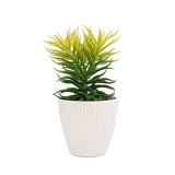 Planta Suculenta In Ghiveci, Alb, Plastic, 19Cm ComfortTravel Luggage, Ella Home