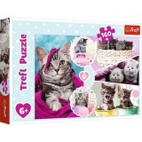 Puzzle Trefl Pisici simpatice 160 piese