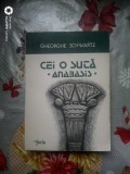 Cei o suta (Anabasis)-Gheorge Schwartz