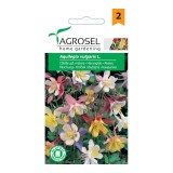 Seminte flori Agrosel, caldarusa
