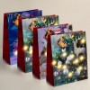 Pungi Cadou Hartie cu LED, 265x127x330 mm, 4 Tipuri, 12 Buc/Pachet, Best CarHome - Craciun, Zile de Nastere, Festive