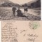 Calimanesti (Valcea)- tipuri-rara