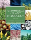 Fundamentals of Plant Physiology 2nd Edition