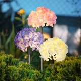 Hortensie cu incarcare solară și lumină calda &ndash; Decorați exteriorul, CMCLASS