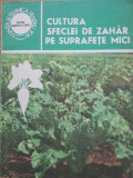 CULTURA SFECLEI DE ZAHAR PE SUPRAFETE MICI - EDITURA CERES 1985