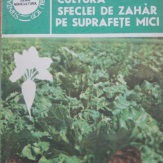 CULTURA SFECLEI DE ZAHAR PE SUPRAFETE MICI - EDITURA CERES 1985