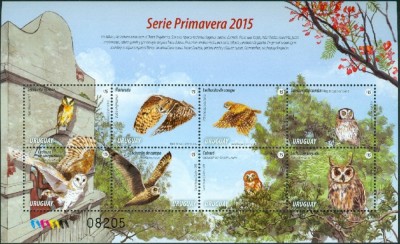 URUGUAY 2015 BUFNITE foto