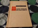 Cum trăiau vechii greci