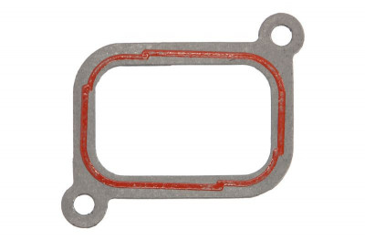 Suction manifold gasket foto