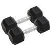 VidaXL Gantere, 2 buc., 16 kg, total fontă