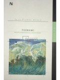Jean Pierre Dupuy - Tsunami - Scurta metafizica a catastrofelor (Editia: 2007)