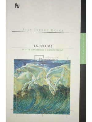 Jean Pierre Dupuy - Tsunami - Scurta metafizica a catastrofelor (Editia: 2007) foto