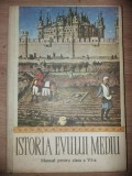 Istoria Evului Mediu. Manual pentru clasa a 6-a - Georgian Lucia, Neagu Vasilica
