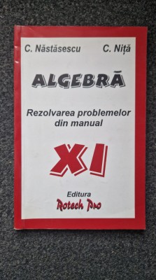 ANALIZA MATEMATICA REZOLVAREA PROBLEMELOR DIN MANUAL XI - Nastasescu, Nita foto