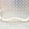 G&acirc;t de umplere rezervor lichid de parbriz BMW 5 F10 2012 OEM: 13264011 12185343