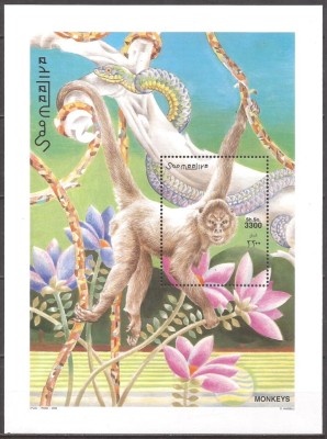 SOMALIA 2002 FAUNA MAIMUTE ( colita dantelata ) MNH foto