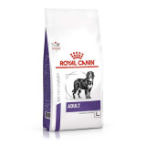 Cumpara ieftin Royal Canin Adult Large Dog