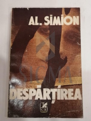 AL.SIMION foto