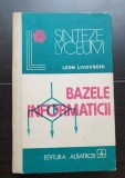 Bazele informaticii - Leon Livovschi