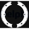 DELPHI LS2018 Set saboti frana, frana de mana