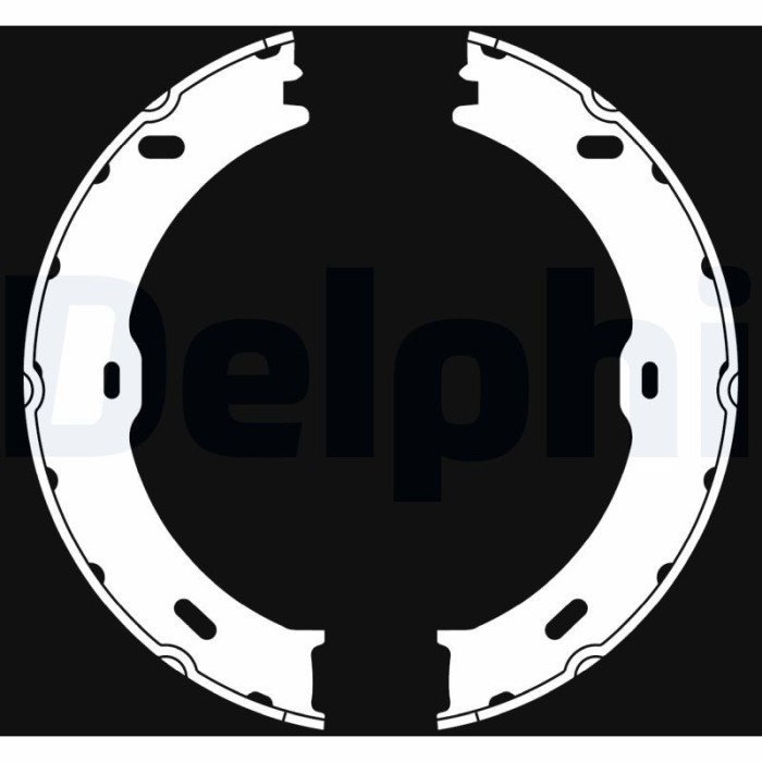 DELPHI LS2018 Set saboti frana, frana de mana
