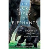 Secret Lives of Elephants