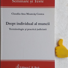 Drept individual al muncii Terminologie si practica judiciara Moarcas Costea