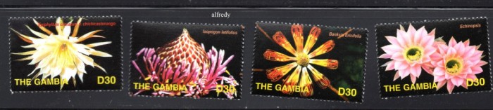 GAMBIA 2004, Flora, serie neuzata, MNH
