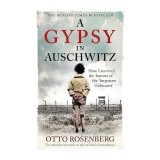 Gypsy in Auschwitz: Roman de memorii despre supraviețuirea romilor &icirc;n Holocaust de Otto Rosenberg