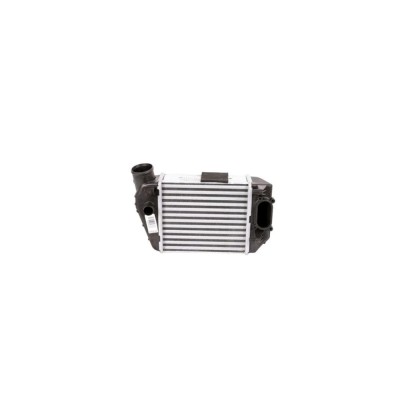 Intercooler Audi A4 Avant 8E5 B6 Denso Dit02021 foto