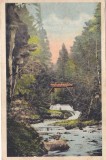Baile Slanic-Moldova. Cascada vazuta din dreapta (circulata 1939)