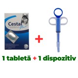 Deparazitare interna caini, Cestal Plus 1 tableta + Dispozitiv administrat capsule