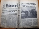 Scanteia 19 februarie 1982-ceausescu vizita la timisoara,doru popovici