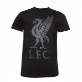FC Liverpool tricou de copii liverbird black - 7-8 let