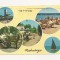 FA43-Carte Postala- ISRAEL - Nahariya, circulata 1966