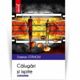 Calugari si ispite - Damian Stanoiu