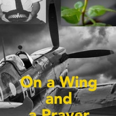 On a Wing and a Prayer: Holding Out for a Miracle
