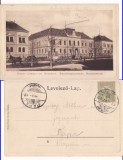 Bistrita - Directia silvica -clasica, animata, rara
