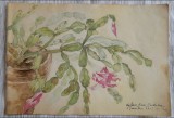 Cumpara ieftin 1953 Acuarelă Aglaia Rosei Rădulescu, semnată / Tg Ocna (jud Bacău) 30 x 20