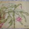 1953 Acuarelă Aglaia Rosei Rădulescu, semnată / Tg Ocna (jud Bacău) 30 x 20
