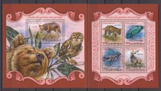 Mozambic 2018 - Fauna - ANIMALE in PERICOL - BL + KB - MNH - Michel 42 Eur. foto