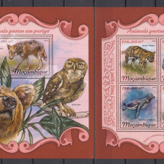 Mozambic 2018 - Fauna - ANIMALE in PERICOL - BL + KB - MNH - Michel 42 Eur.