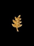 Pin Masonic&rdquo;Acacia Discret&rdquo;-6mm-Simbolul Nemuririi