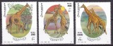 Somalia 2000 fauna girafe MI 808-810 MNH, Nestampilat