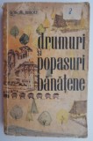 Cumpara ieftin Drumuri si popasuri banatene - Virgil Birou (Carte anticariat, stare buna)