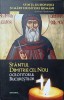 SFANTUL DIMITRIE CEL NOU OCROTITORUL BUCURESTILOR-SILVAN THEODORESCU-237003