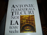Antonie Plămădeală - T&icirc;lcuri noi la texte vechi